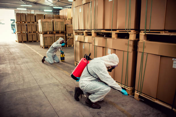 Best Best Pest Control Companies  in Wallis, TX