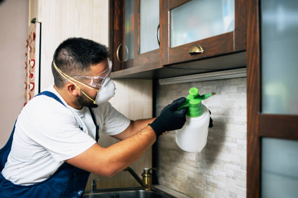 Best Termite Control Services  in Wallis, TX
