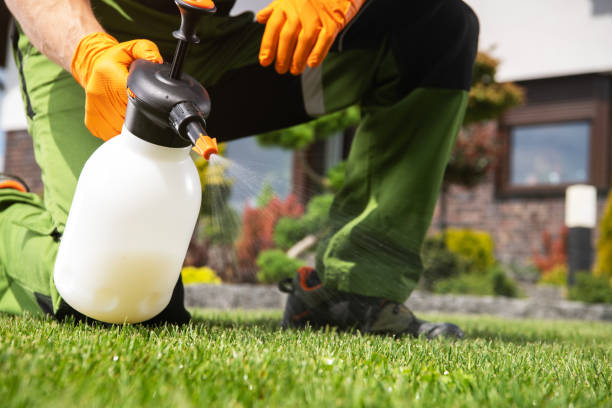 Best Best Pest Control Companies  in Wallis, TX