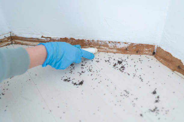 Best Commercial Pest Control Services  in Wallis, TX